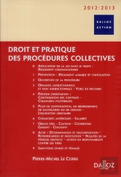 Droit Et Pratique Des Procédures Collectives (Édition 2012/2013)