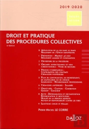 Droit Et Pratique Des Procédures Collectives (Édition 2019/2020)