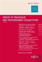 Droit Et Pratique Des Procédures Collectives (Édition 2021/2022)
