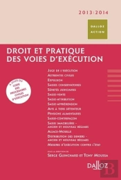 Droit Et Pratique Des Voies D'Exécution (Édition 2013/2014)