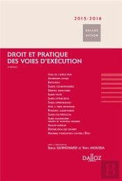 Droit Et Pratique Des Voies D'Exécution (Édition 2015/2016)