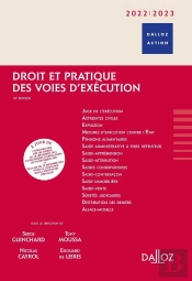 Droit Et Pratique Des Voies D'Exécution (Édition 2022/2023)