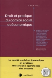 Droit Et Pratique Du Comité Social Et Économique
