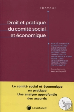 Bertrand.pt - Droit Et Pratique Du Comité Social Et Économique