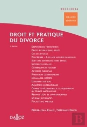 Droit Et Pratique Du Divorce (Édition 2013/2014)
