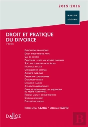Droit Et Pratique Du Divorce (Édition 2015/2016)