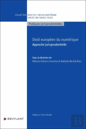 Droit Européen Du Numérique : Approche Jurisprudentielle