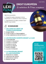 Droit Européen : Le Contentieux De L'Union Européenne