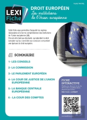 Droit Européen : Les Institutions De L'Union Européenne