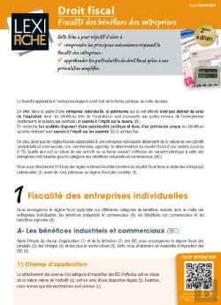 Bertrand.pt - Droit Fiscal ; Fiscalité Des Bénéfices Des Entreprises (2e Édition)