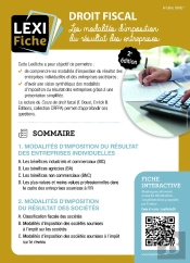 Droit Fiscal : Fiscalité Des Bénéfices Des Entreprises