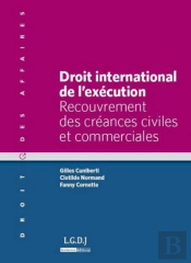 Droit Internationa De L'Execution