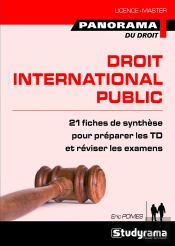 Droit International Public
