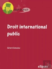 Droit International Public