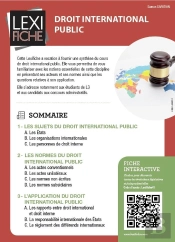 Droit International Public