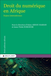 Droit Numérique En Afrique : Enjeux Internationaux