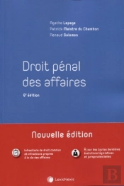 Droit Penal Des Affaires