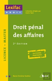 Droit Penal Des Affaires