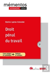Droit Pénal Du Travail (2e Édition)