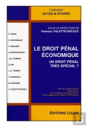 Droit Penal Economique