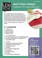 Droit Pénal Général ; L'Infraction Et La Responsabilité Pénale (2e Édition)