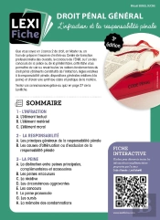 Droit Pénal Général : L'Infraction Et La Responsabilité Pénale