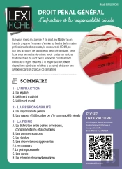 Droit Penal General