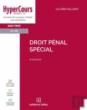 Droit Pénal Spécial (11e Édition)
