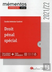 Droit Pénal Spécial (3e Édition)