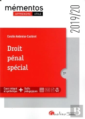 Droit Penal Special