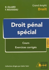 Droit Pénal Spécial