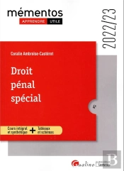 Droit Pénal Spécial : Infractions Contre Les Personnes ; Infractions Contre Les Biens ; Atteintes Aux Intérêts Publics (4e Édition)