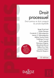 Droit Processuel. 12e Ed. - Droit Fondamentaux Du Proces
