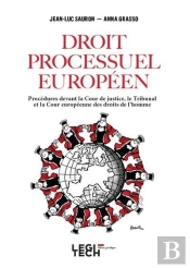 Droit Processuel Européen ; Procédures Devant La Cour De Justice, Le Tribunal Et La Cour Européenne Des Droits De L'Homme