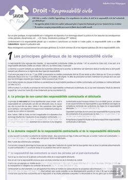 Bertrand.pt - Droit- Responsabilite Civile