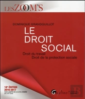 Droit Social 2016-2017, 18eme Ed. (Le)