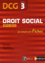Droit Social Epreuve 3 Dcg Le Cours En Fiches 2013