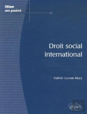 Droit Social International