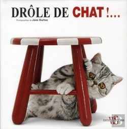 Bertrand.pt - Drole De Chat
