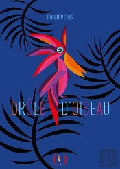 Drôle D'Oiseau