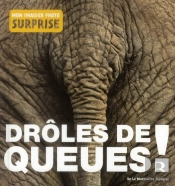 Droles De Queues