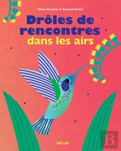 Drôles De Rencontres Dans Les Airs