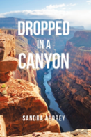 Dropped In A Canyon