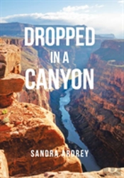 Dropped In A Canyon