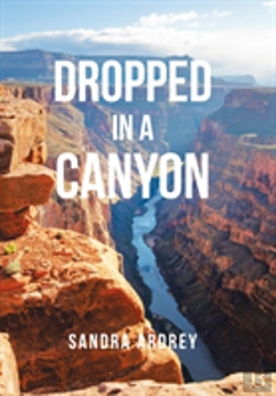 Bertrand.pt - Dropped In A Canyon