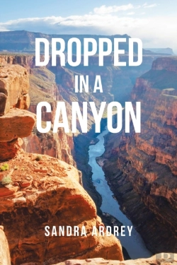 Bertrand.pt - Dropped In A Canyon