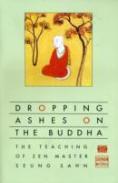 Dropping Ashes On The Buddha