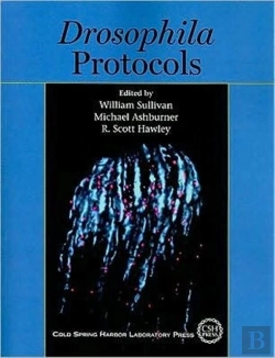 Bertrand.pt - Drosophila Protocols