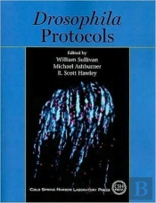 Drosophila Protocols
