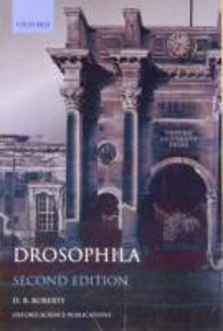 Bertrand.pt - Drosophila